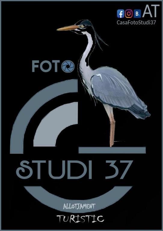 Casa Fotostudi37 Daire Deltebre Dış mekan fotoğraf